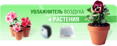 Увлажнитель воздуха и растения